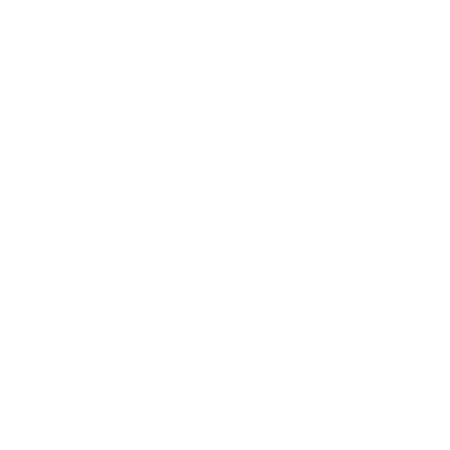 Scalevision